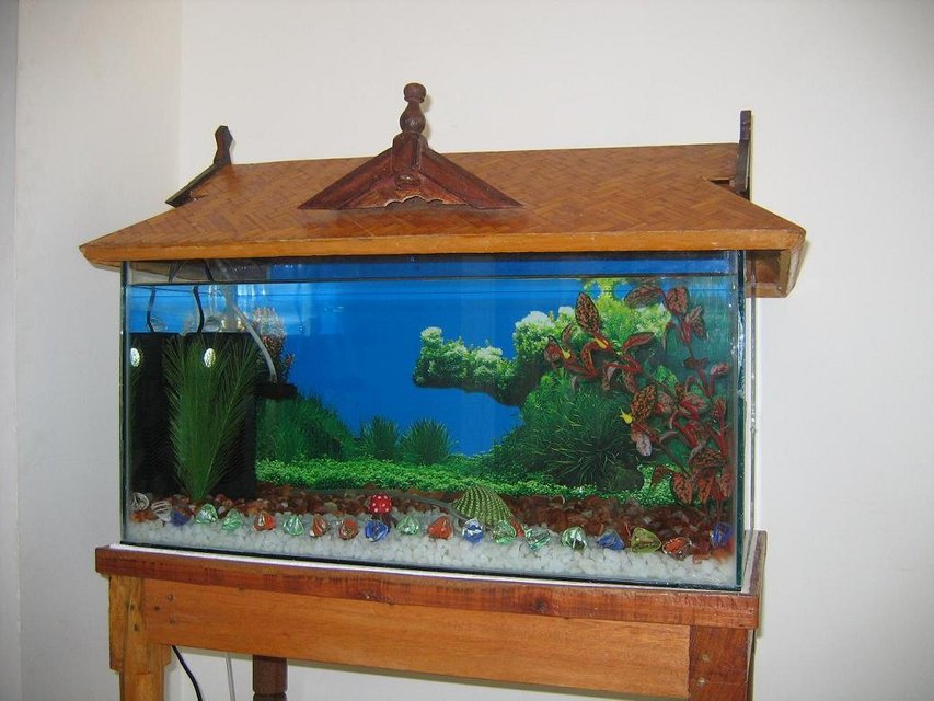 Rated #3777: 15 Gallons Freshwater Fish Tank - size: 2 x 1 x 1 (feet). 15 gallons tank. White and brown gravels are used. Right now no light is used. I used artifical plants only. Gold, Telescope, Guppy and 1 male fighter(betta). I used HJ-752 filter (18 W, 600 liter/hour).