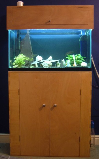 Rated #4008: 25 Gallons Freshwater Fish Tank - Home built cabinet and lid. Lots of rocks, to try and seporate the L015 pleco.