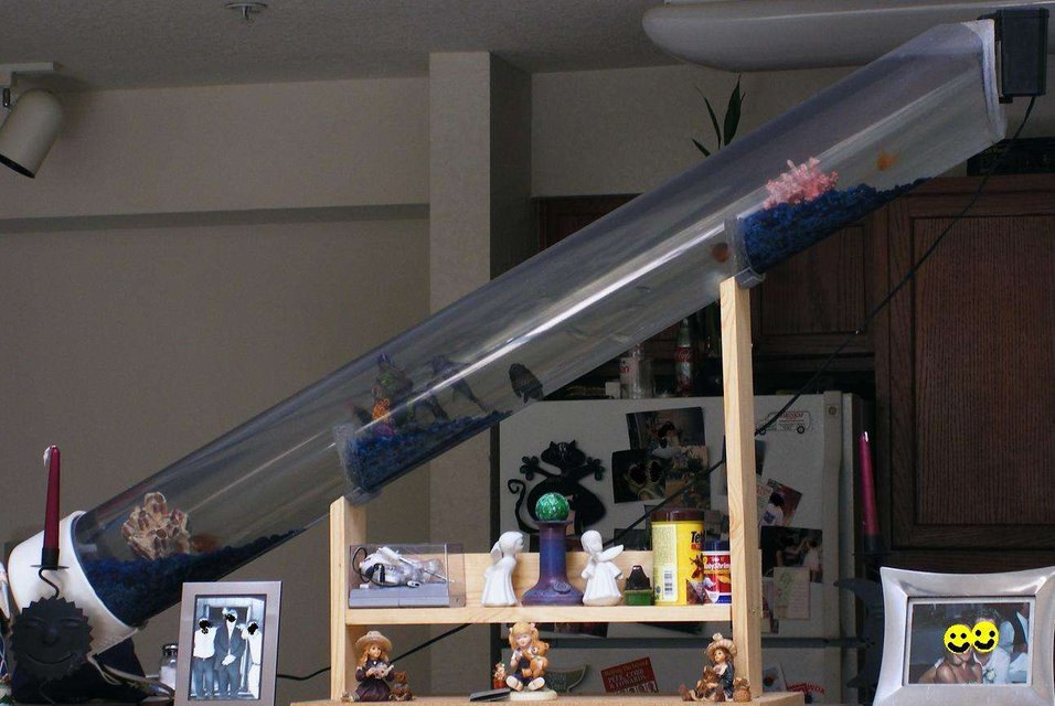 Rated #3304: 12 Gallons Freshwater Fish Tank - My 5' long awesome fish tank!!!!