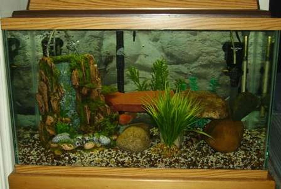 Rated #439: 30 Gallons Freshwater Fish Tank - 30 gal for 10 bone brand new....lol