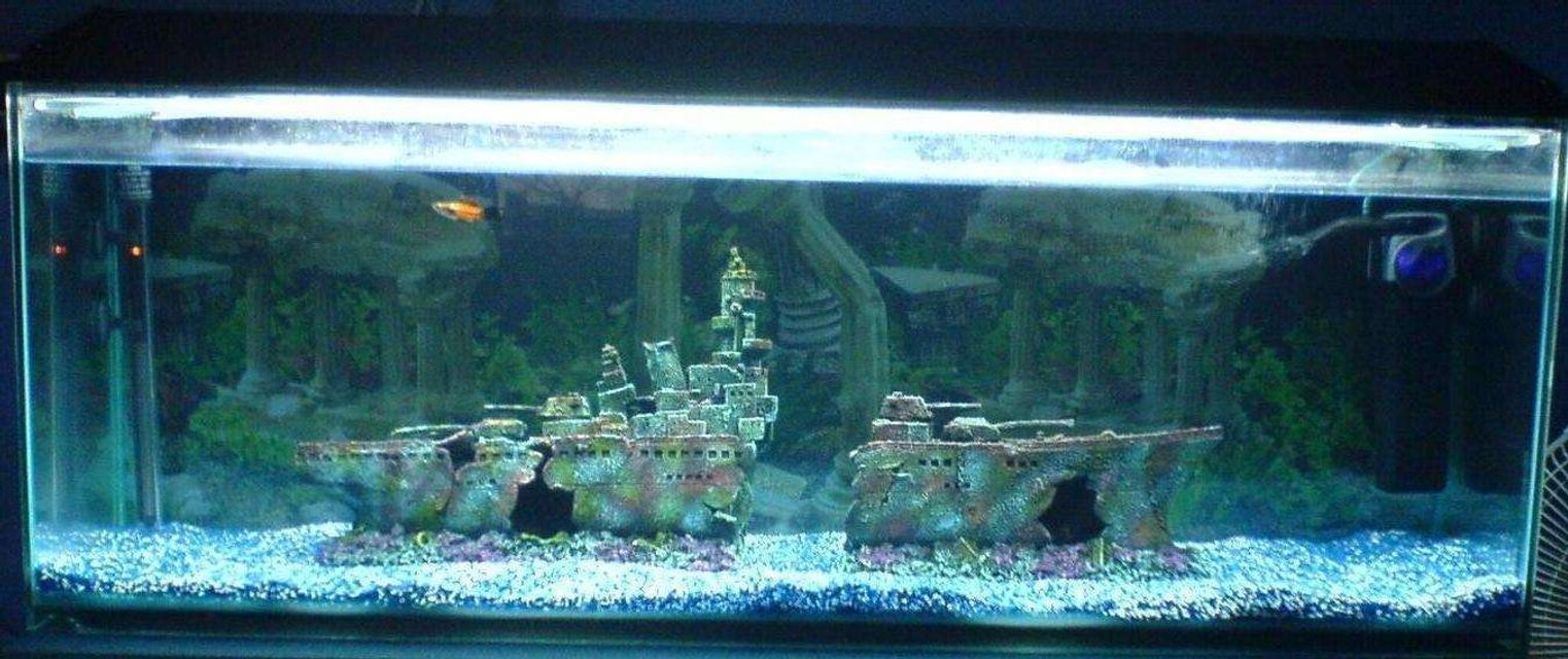 Rated #3605: 47 Gallons Freshwater Fish Tank - Fish Tank (4" one) the 2nd day! with my boat and 3 sword tails in there.