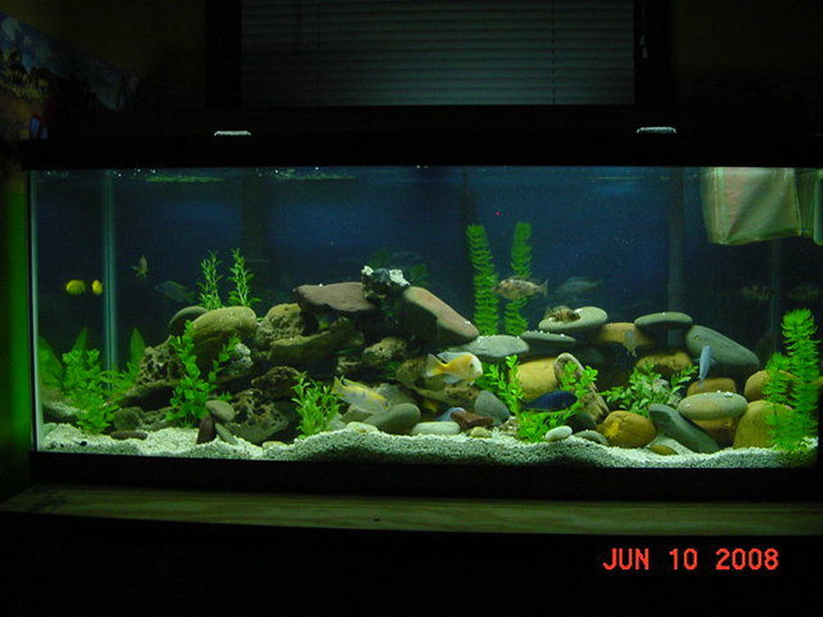 hunterzpa s freshwater tanks