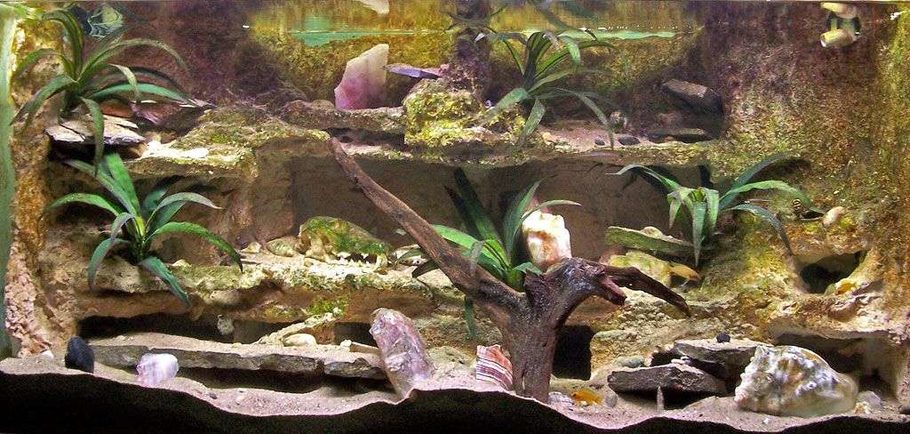 binarywhisper s freshwater tanks