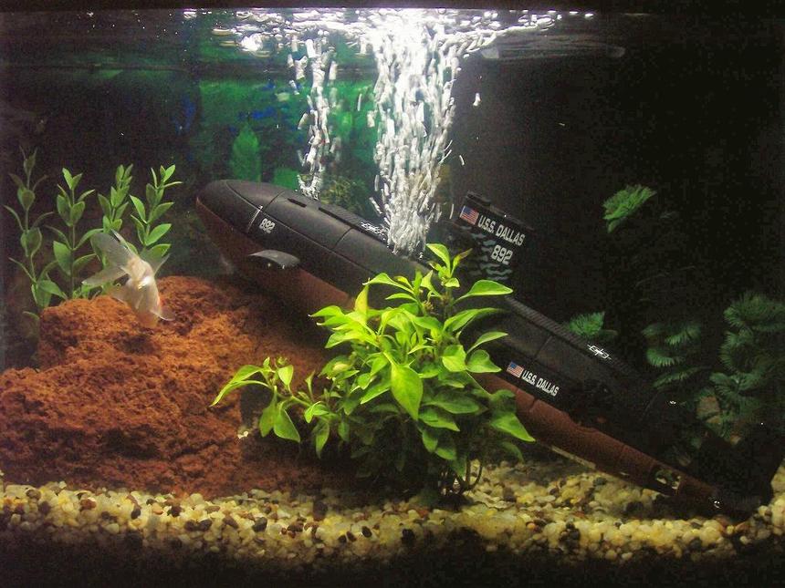 Rated #267: 10 Gallons Freshwater Fish Tank - My Tank