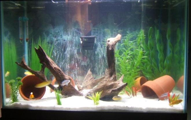 30 gallons freshwater fish tank (mostly fish and non-living decorations) - The smaller bedroom tank
