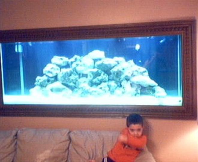210 gallons saltwater fish tank (mostly fish, little/no live coral) - MY BOY AGAIN