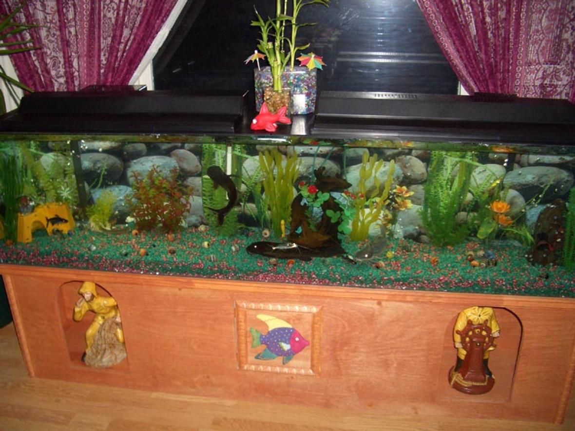 66 gallons freshwater fish tank (mostly fish and non-living decorations) - 6' 66 gallon