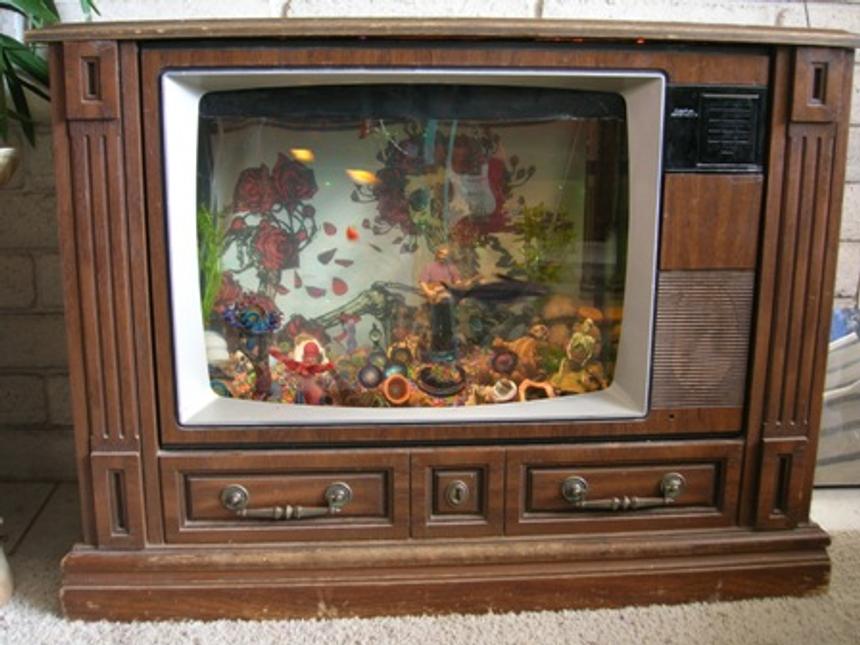 Rated #203: 25 Gallons Freshwater Fish Tank - A tribute the greatest rock n roll band ever! If you look hard enough you can see your face melt!
THIS IS FOR YOU JERRY!!!