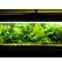 52 gallons freshwater fish tank (mostly fish and non-living decorations) - fully planted tank all plastic plants