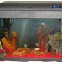 10 gallons freshwater fish tank (mostly fish and non-living decorations) - my tank only had it for 3 weeks