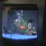 27 gallons freshwater fish tank (mostly fish and non-living decorations) - my tank (please understand that the picture is of poor quality)