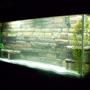 fish tank picture - 120 gallons of custom work