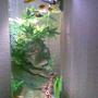 36 gallons freshwater fish tank (mostly fish and non-living decorations) - anchors away!