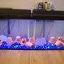 fish tank picture - test pic