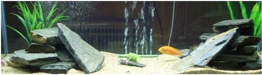 Rated #2561: 75 Gallons Freshwater Fish Tank - This is my main Malawi all glass 75 gallon tank.  The decor is 55lbs of stacked sesame slate and about 20lbs of rock art gravel
