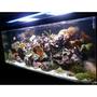 fish tank picture - another angle of the tank