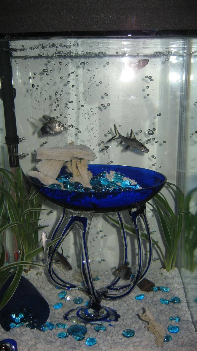 30 gallons freshwater fish tank (mostly fish and non-living decorations) - This is my old tank, different fish then my current tank. It had a blue night light so it had a really nice blue glow. I just wanted to see what you all thought about the way it looked back then.