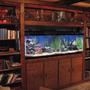 fish tank picture - my tank & Stand total weight approx 3000lbs ...yes i did reinforce the floor joists below!