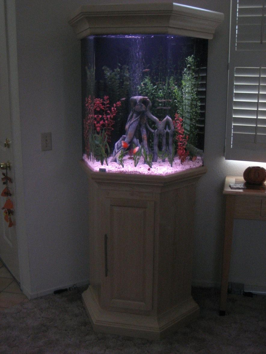 75 gallons freshwater fish tank (mostly fish and non-living decorations) - 75 Gal. Acrilic Hex. Black Back Custom made Hard Maple Stand & Crown Canopy Total Hight 6' 6"