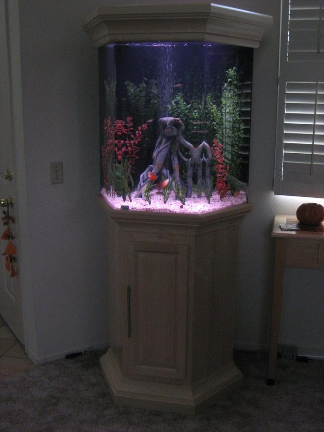 75 gallons freshwater fish tank (mostly fish and non-living decorations) - 75 Gal. Acrilic Hex. Black Back
Custom made Hard Maple Stand & Crown Canopy
Total Hight 6' 6"
