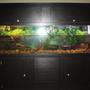 fish tank picture - Image of home made custom turtle tank setup.