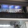 fish tank picture - Under View.