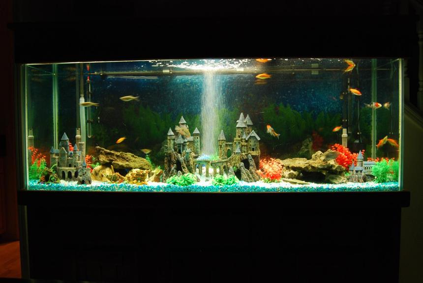 Rated #2078: 180 Gallons Freshwater Fish Tank - Castle decorations like the way kids wanted.