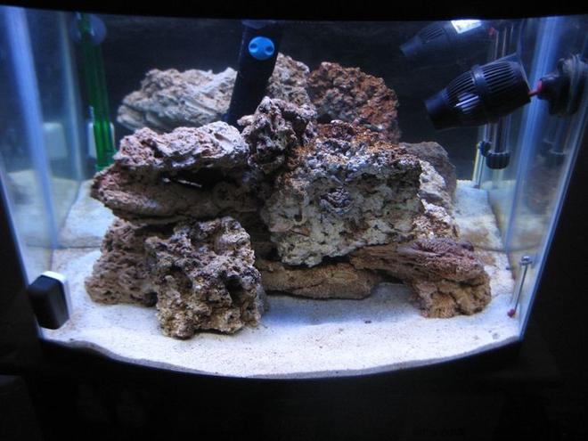 26 gallons saltwater fish tank (mostly fish, little/no live coral) - How my current tank look like without the clown fish