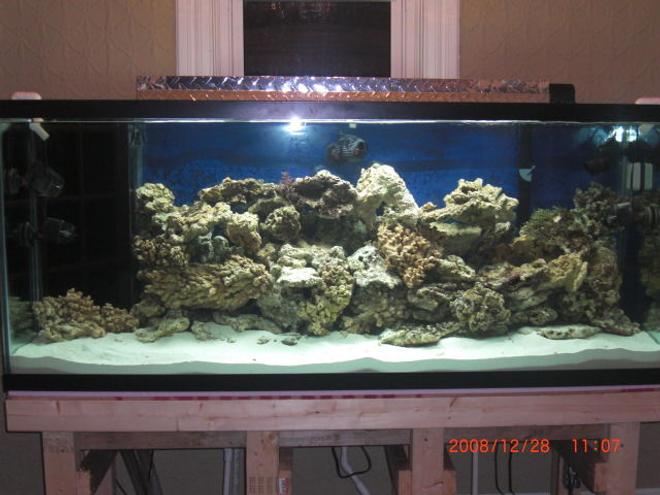 250 gallons saltwater fish tank (mostly fish, little/no live coral) - I have 220 gallon reef tank 310 pounds of live rock