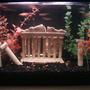 fish tank picture - Better picture of the tank