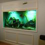 200 gallons freshwater fish tank (mostly fish and non-living decorations) - 200 gallon in wall