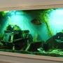 200 gallons freshwater fish tank (mostly fish and non-living decorations) - 200 gallon