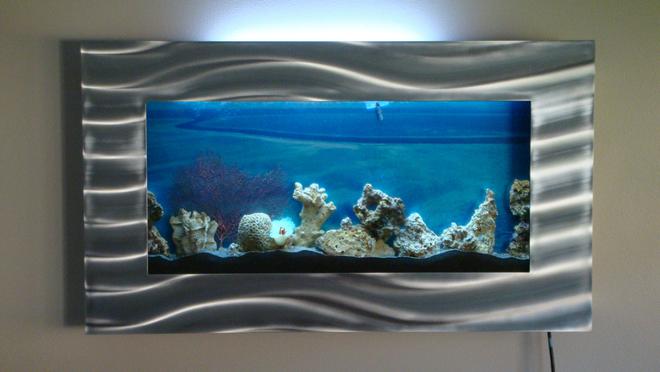 8 gallons saltwater fish tank (mostly fish, little/no live coral) - New salt water aquarium set up.