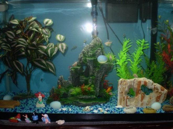 30 gallons freshwater fish tank (mostly fish and non-living decorations) - This is an old picture, so the description doesn''t really match the tank right now. A new one is coming soon though