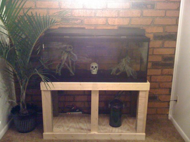 75 gallons freshwater fish tank (mostly fish and non-living decorations) - 3 piranha, setup is still under construction