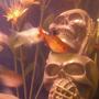 freshwater fish - hyphessobrycon callistus - red minor serpae tetra stocking in 29 gallons tank - serpae tetra hanging out by the skulls. hear no evil, see no evil, speak no evil skulls...and the upside down catfish waiting to attack out of the eye...