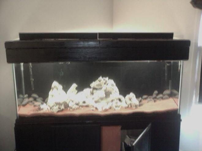 150 gallons freshwater fish tank (mostly fish and non-living decorations) - a work in progress.