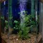 40 gallons freshwater fish tank (mostly fish and non-living decorations) - 40 gallon Hexagonal tank, 18" fluorescent light, Penquin Bio-Wheel 200 filter.