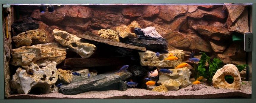 Rated #17: 80 Gallons Freshwater Fish Tank - 2nd edition...