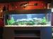 view more best photos of variety 205 gallons tank 