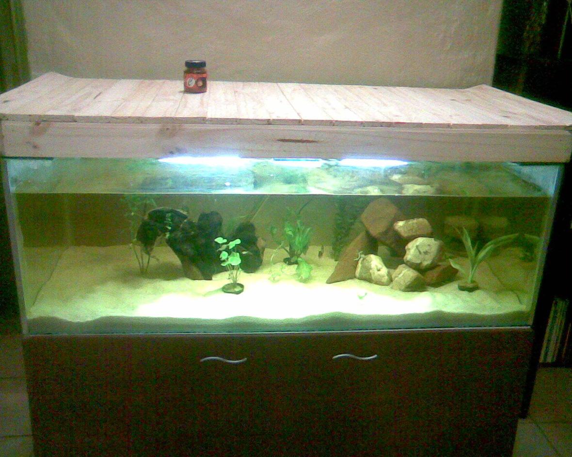 70 gallons planted tank (mostly live plants and fish) - Tank is 1 Month old, Planted waiting for tank to growin