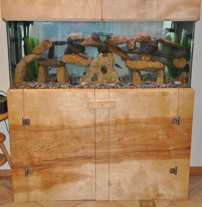 55 gallons freshwater fish tank (mostly fish and non-living decorations) - 55 Gallon Freshwater African Cichlid