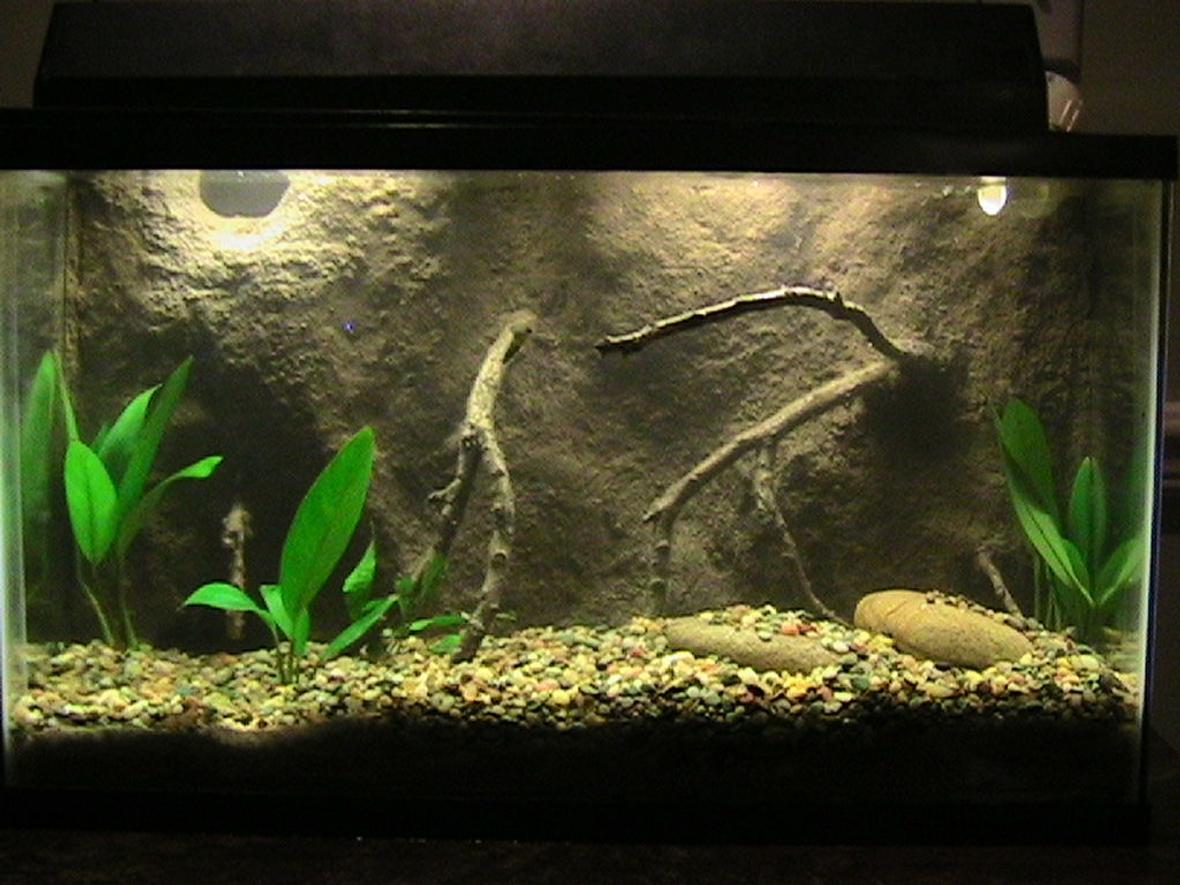 30 gallons freshwater fish tank (mostly fish and non-living decorations) - this is my 2nd 10gal tank which I had made a 3D background