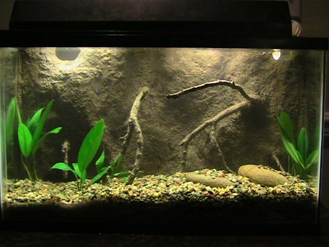 30 gallons freshwater fish tank (mostly fish and non-living decorations) - this is my 2nd 10gal tank which I had made  a 3D background
