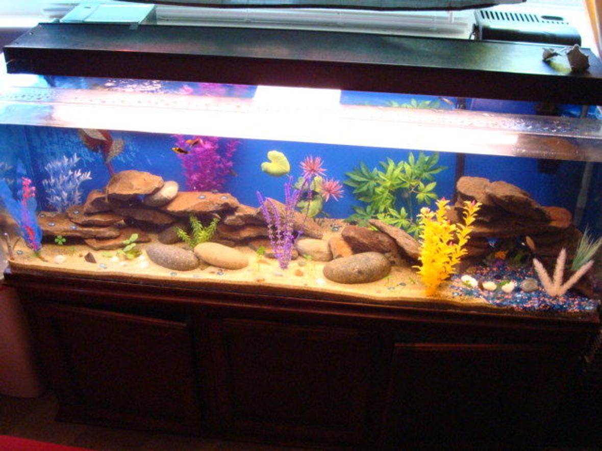 80 gallons freshwater fish tank (mostly fish and non-living decorations) - I mainly used sand for the substrate though there is a small bit of decorative rocks off to the side. I also used fake plants, large rocks and some barrels.