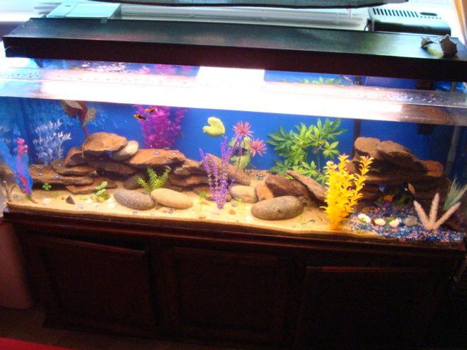 80 gallons freshwater fish tank (mostly fish and non-living decorations) - I mainly used sand for the substrate though there is a small bit of decorative rocks off to the side.  I also used fake plants, large rocks and some barrels.