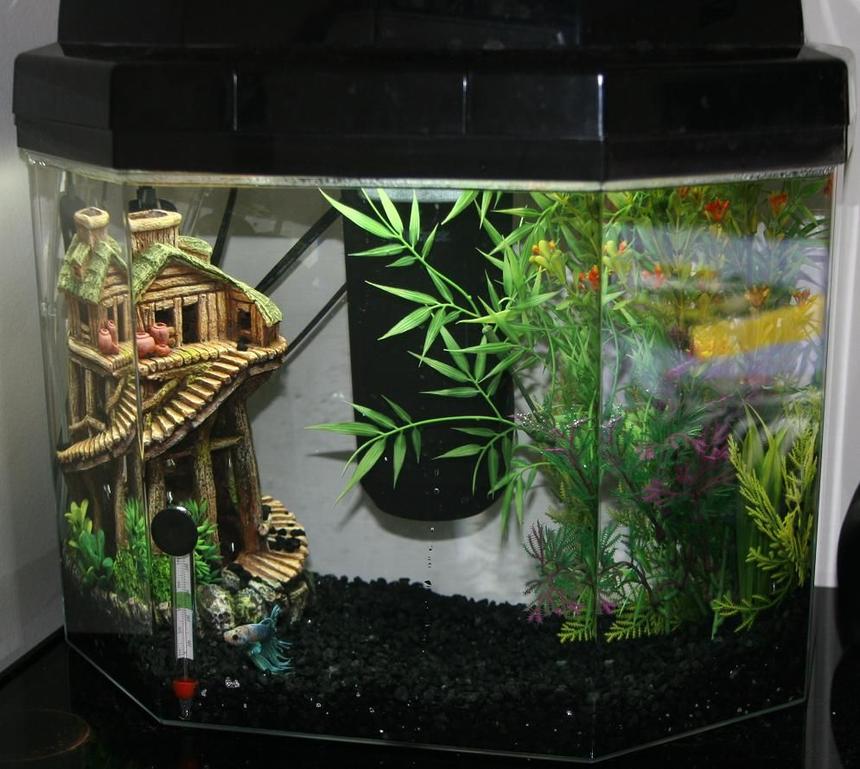 Rated #2511: 5 Gallons Freshwater Fish Tank - 5 Gal. Fish tank I bought from PetSmart. Perfect. Tank sits on my bed side dresser. I do not have a stand for it. Has small mini heater designed for smaller tanks and a Tetra Whisper filter which takes medium sized filter pads. The same filter replacements used for 10 gal. tank filters. Also contains a bubble maker that goes beneath the gravel. I do not know the dimensions of my fish tank. I have not measured it.