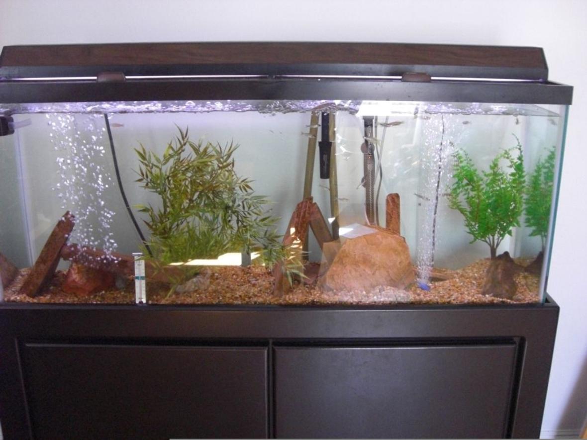 20 gallons freshwater fish tank (mostly fish and non-living decorations) - my 55 gal filter is a magmum 350 heater is 200 watts, 2 airstones, flagstone, 2 plastic plants