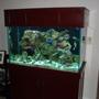 fish tank picture - 150 Gallon