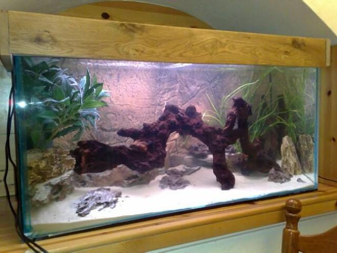 42 gallons freshwater fish tank (mostly fish and non-living decorations) - 36"x15"x18" First tank and have gone for a natural looking environment with Bogwood being a main feature. Just getting started with stocking, but the tetras seem very happy in there so far.